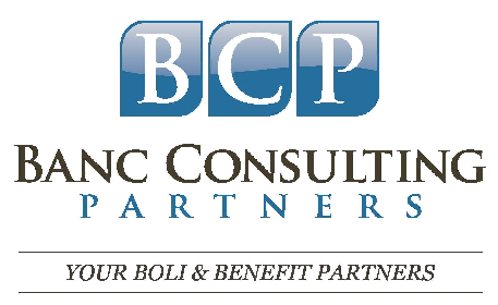 Banc Consulting Partners Logo